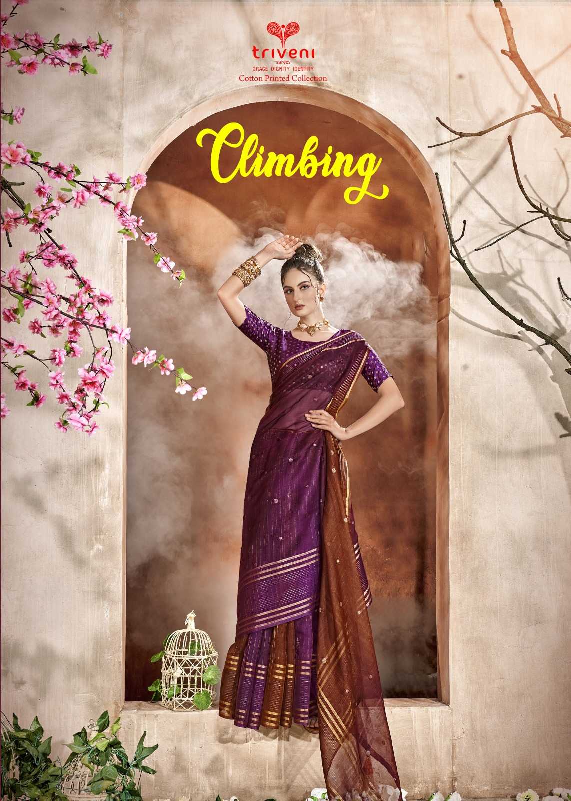triveni climbing beautiful wear saree wholesaler 