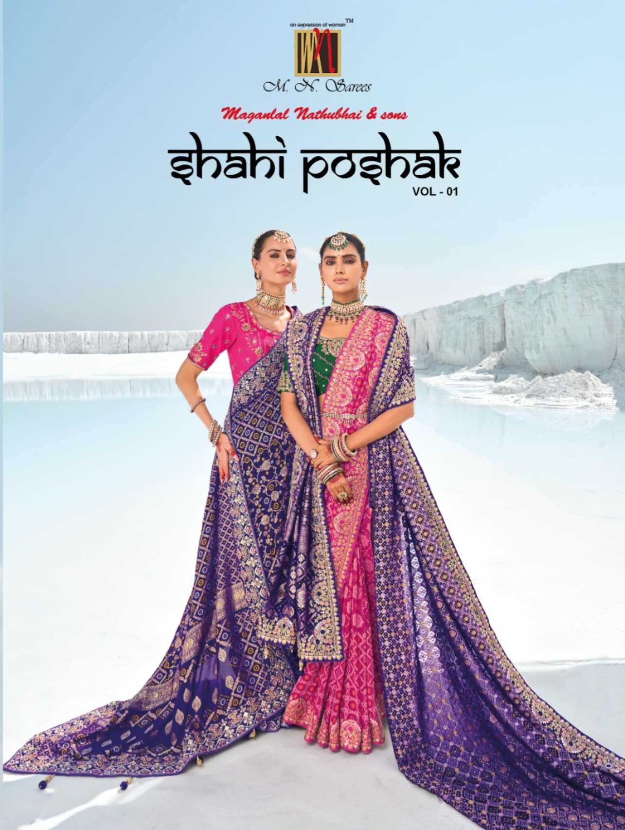 shani poshak vol 1 by mn heavy work bandhani patola georgette saree