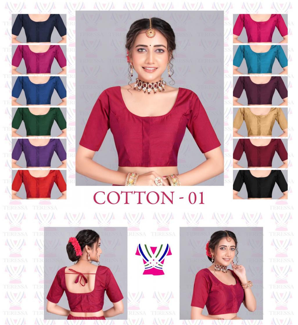 BANGALORE POPULAR DESIGN SLUB COTTON 01 FULLY STITCH BLOUSE  