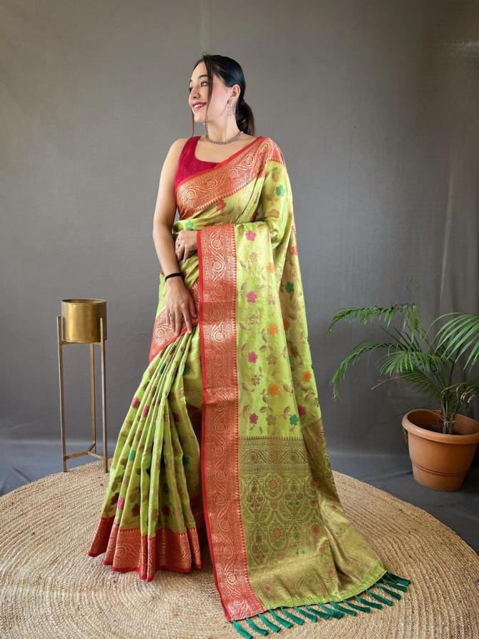 SABRI ORGANZA TISSUE SILK SHOP TRENDY SAREES 