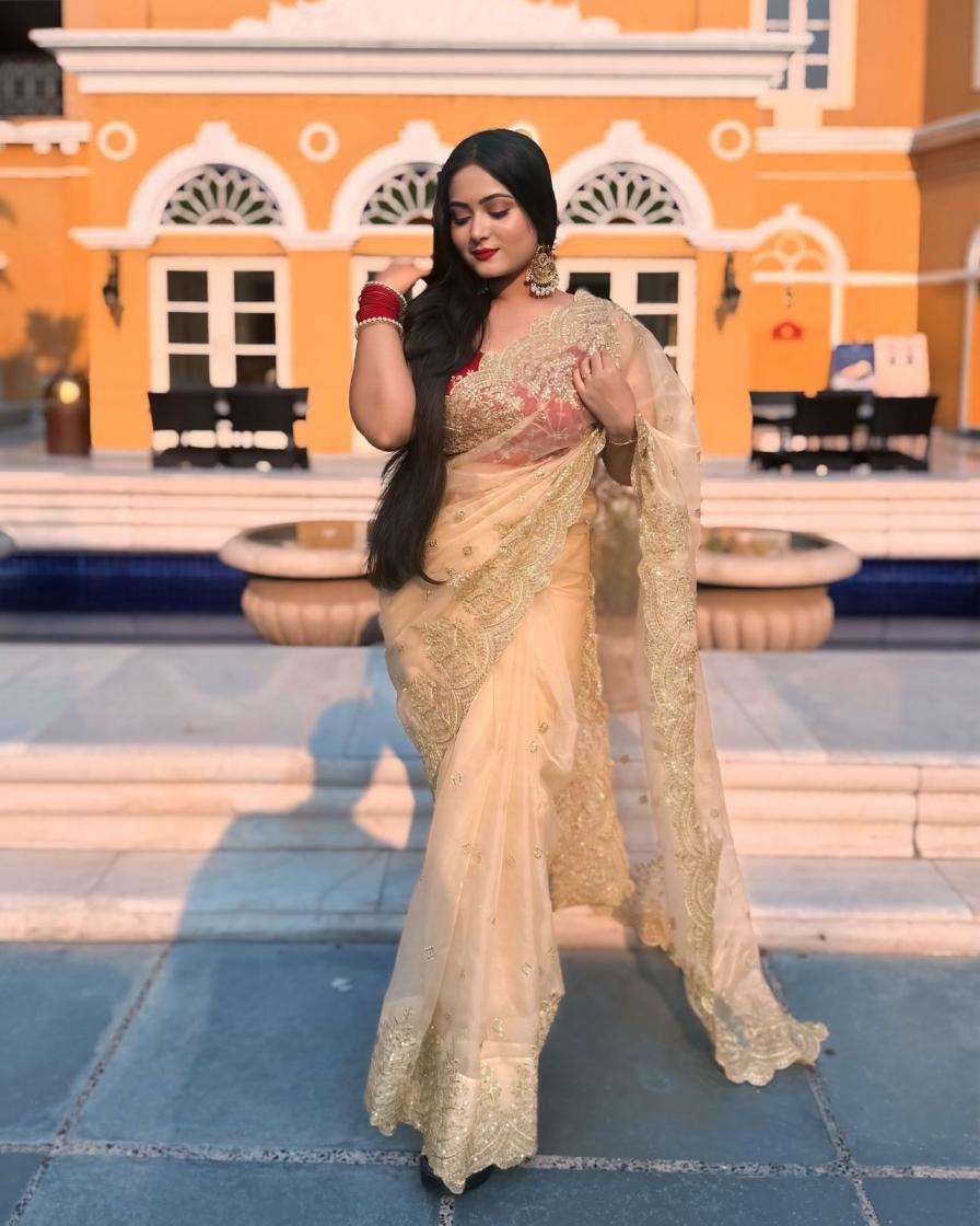 KC 834 FASHIONBALE DESIGN ORGANZA SAREES ONLINE 