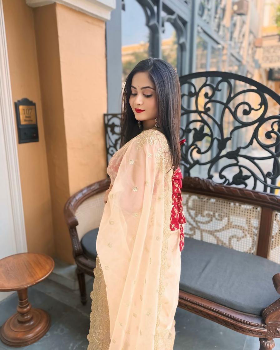 KC 834 FASHIONBALE DESIGN ORGANZA SAREES ONLINE 