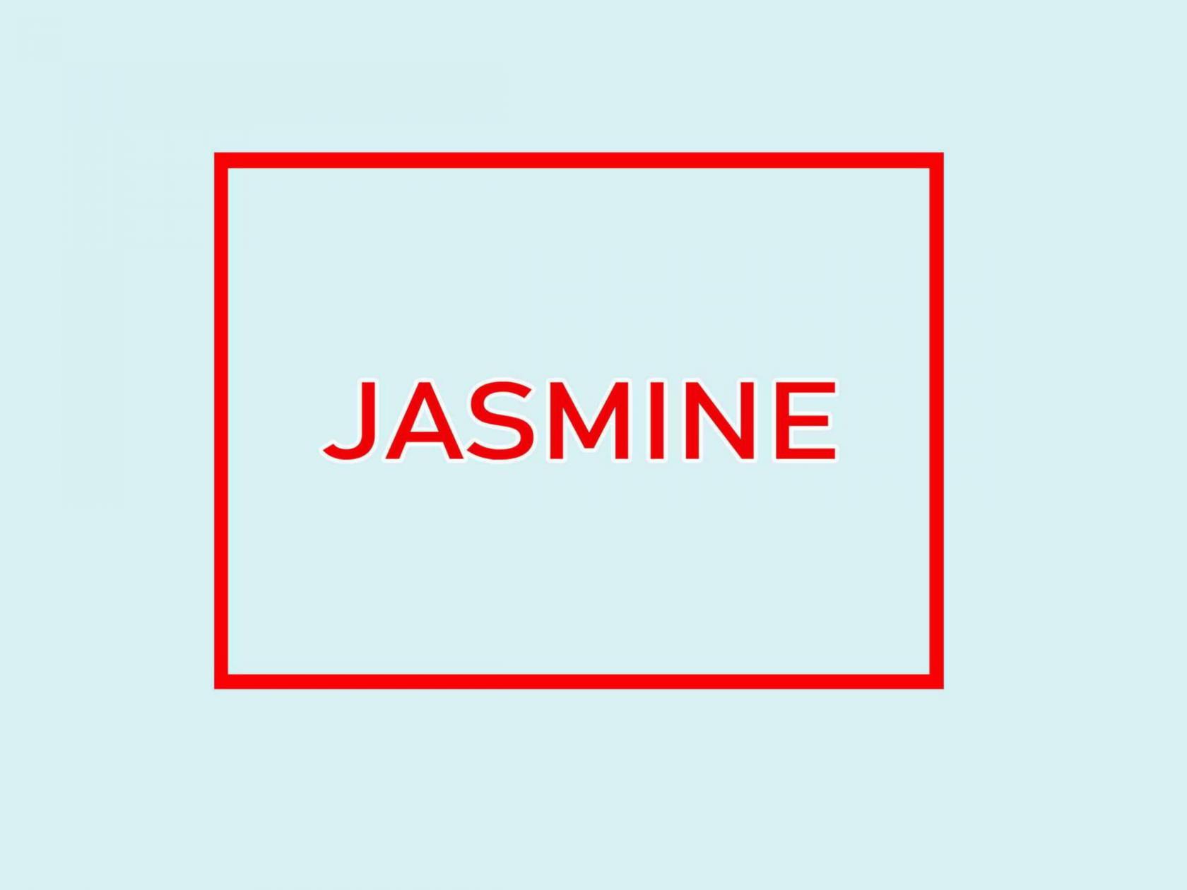 JASMINE BY BANSI TURKEY CASUAL SAREE WHOLESALER 